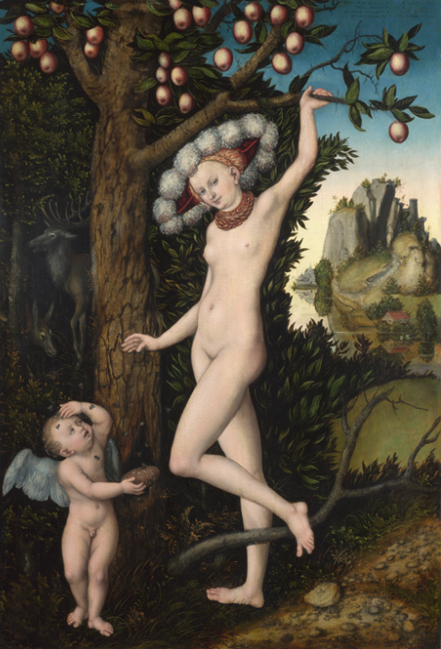 Cupid Complaining To Venus by Cranach